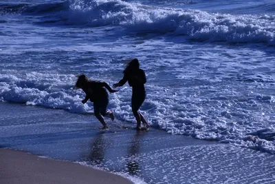 DSC_0521 (Large).JPG